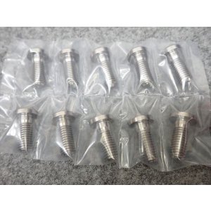 画像4: PANIGALE　フロント330mmディスク用　チタンボルトキット