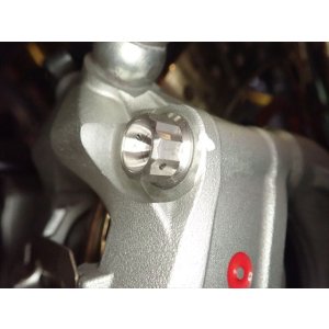 画像9: PANIGALE　フロント330mmディスク用　チタンボルトキット