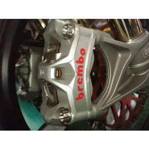 画像7: PANIGALE　フロント330mmディスク用　チタンボルトキット