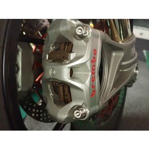 画像6: PANIGALE　フロント330mmディスク用　チタンボルトキット