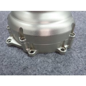 画像3: アエラ　ジェネレータカバープロテクター（Panigale V4/左側） AE-68124